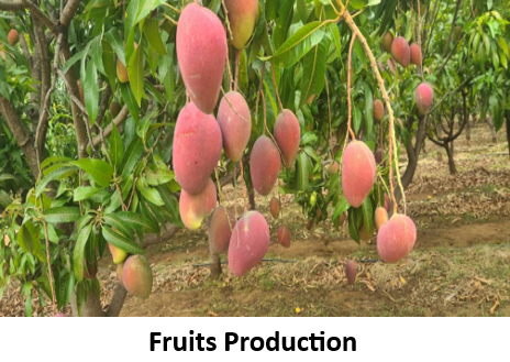 Kabwi and Mombishi farms — photo 6