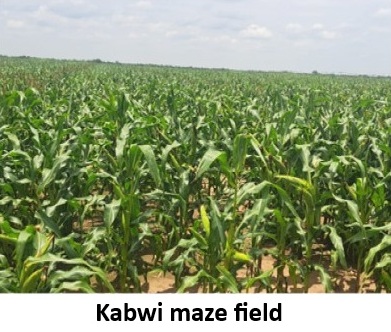 Kabwi and Mombishi farms — photo 4