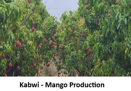 Kabwi and Mombishi farms — photo 5