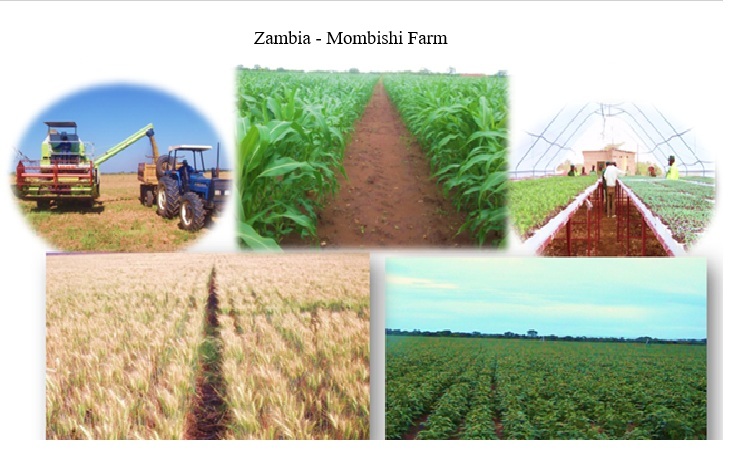 Kabwi and Mombishi farms — photo 2