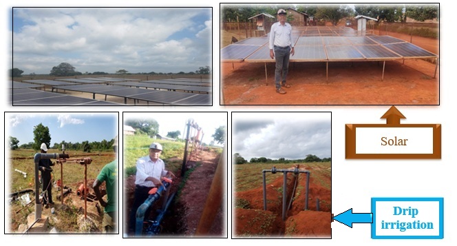 Kabwi and Mombishi farms — photo 8
